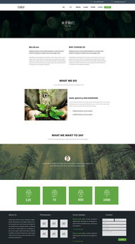 企業(yè)官網(wǎng)設(shè)計(jì)新視角 從“我的心情很番茄”到專(zhuān)業(yè)呈現(xiàn)