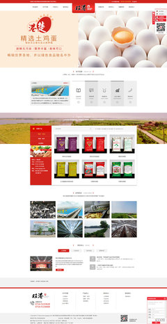 湖北商界科技 一站式企業數字化解決方案，助力武漢企業構建卓越在線形象