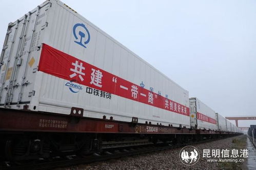 中老鐵路玉溪至萬(wàn)象國(guó)際貨運(yùn)冷鏈列車(chē)正式開(kāi)行，助力跨境物流新發(fā)展